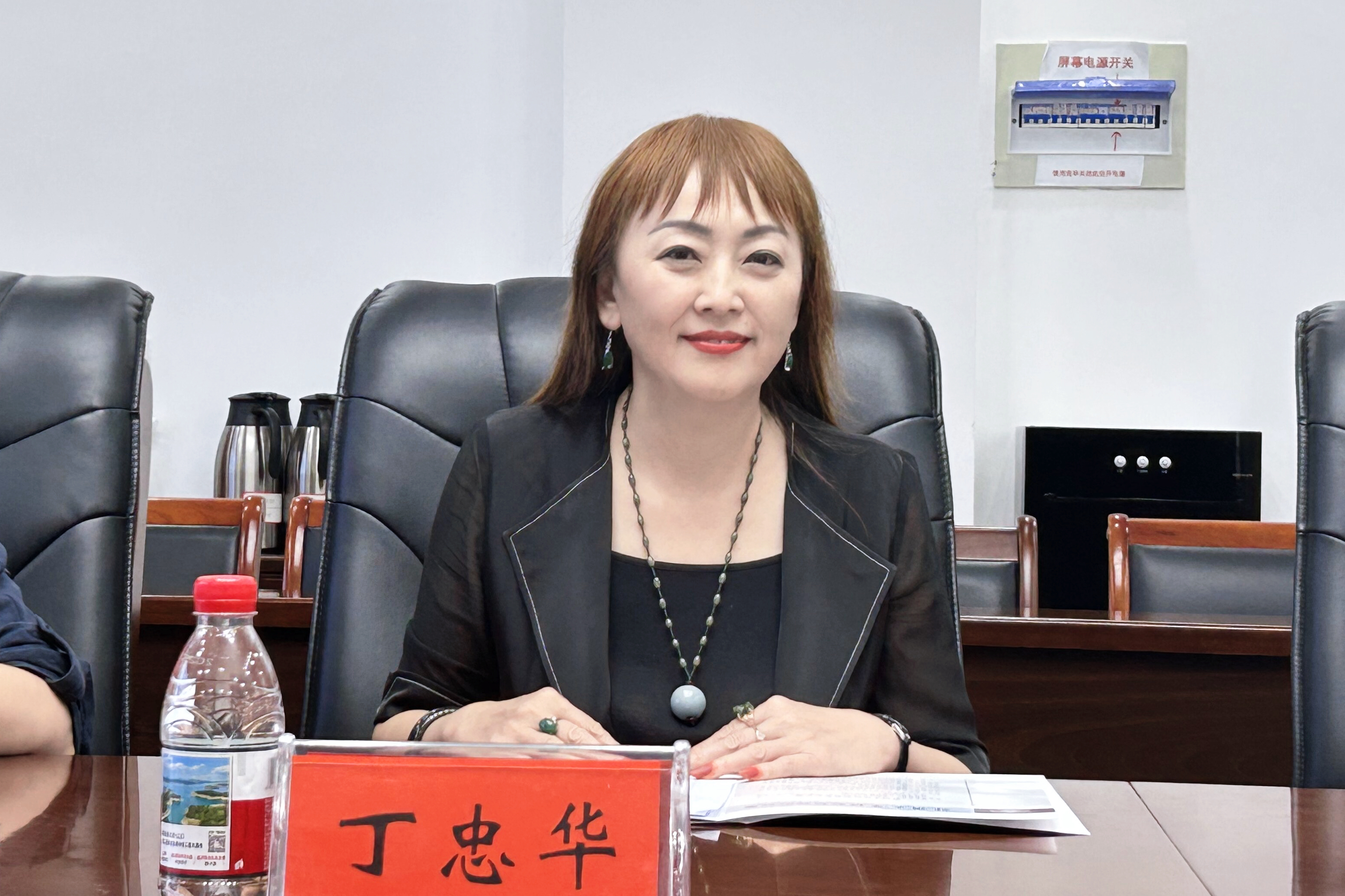 4丁忠华副主任讲话.jpg