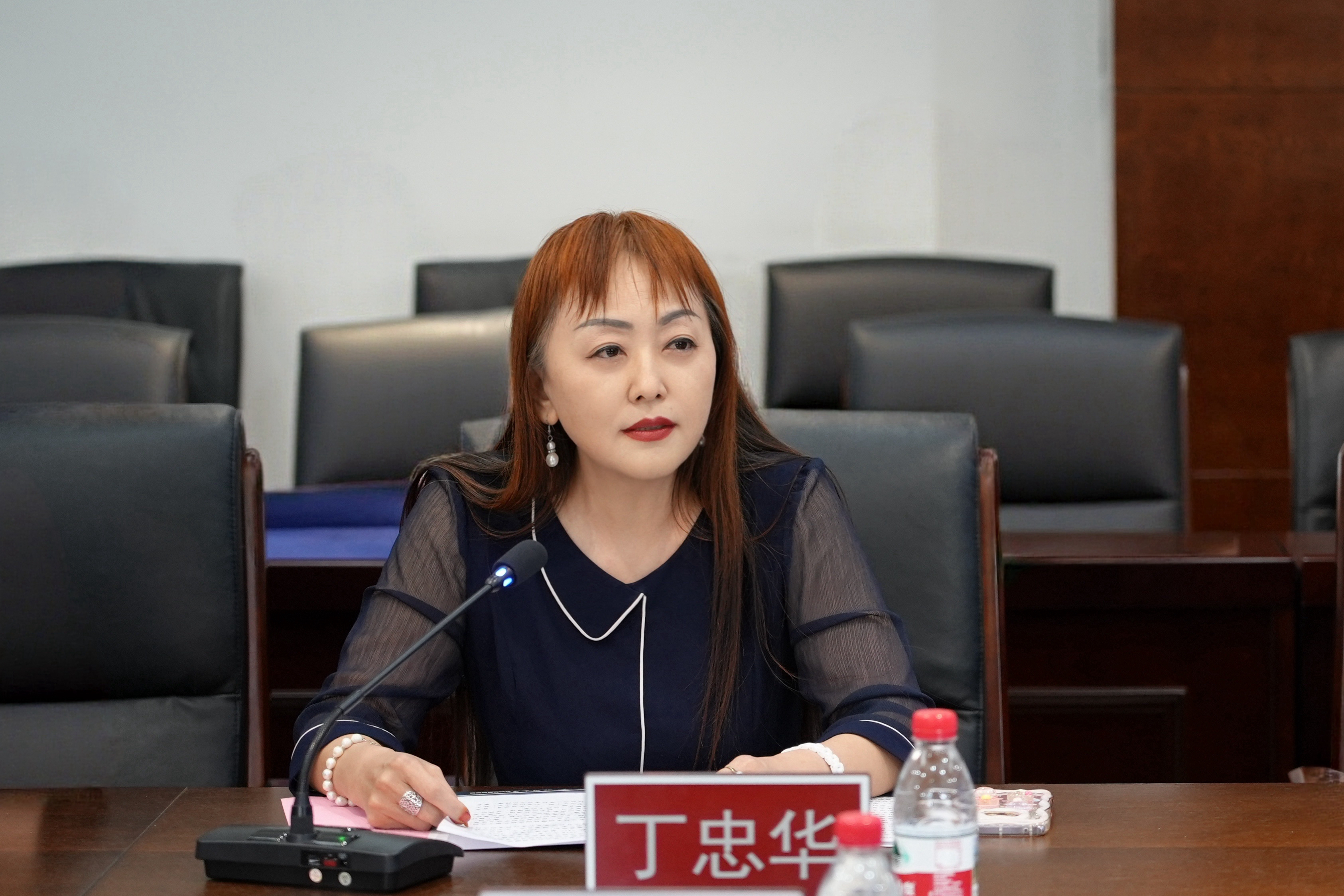 4丁忠华副主任致辞.jpg